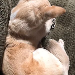 Meet your Posher, Jed